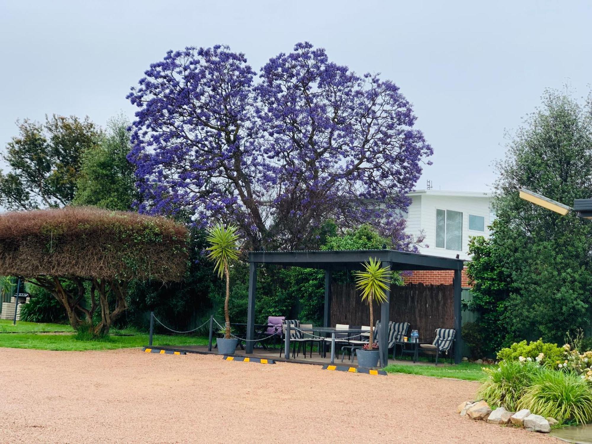 Bairnsdale Town Central Motel Εξωτερικό φωτογραφία